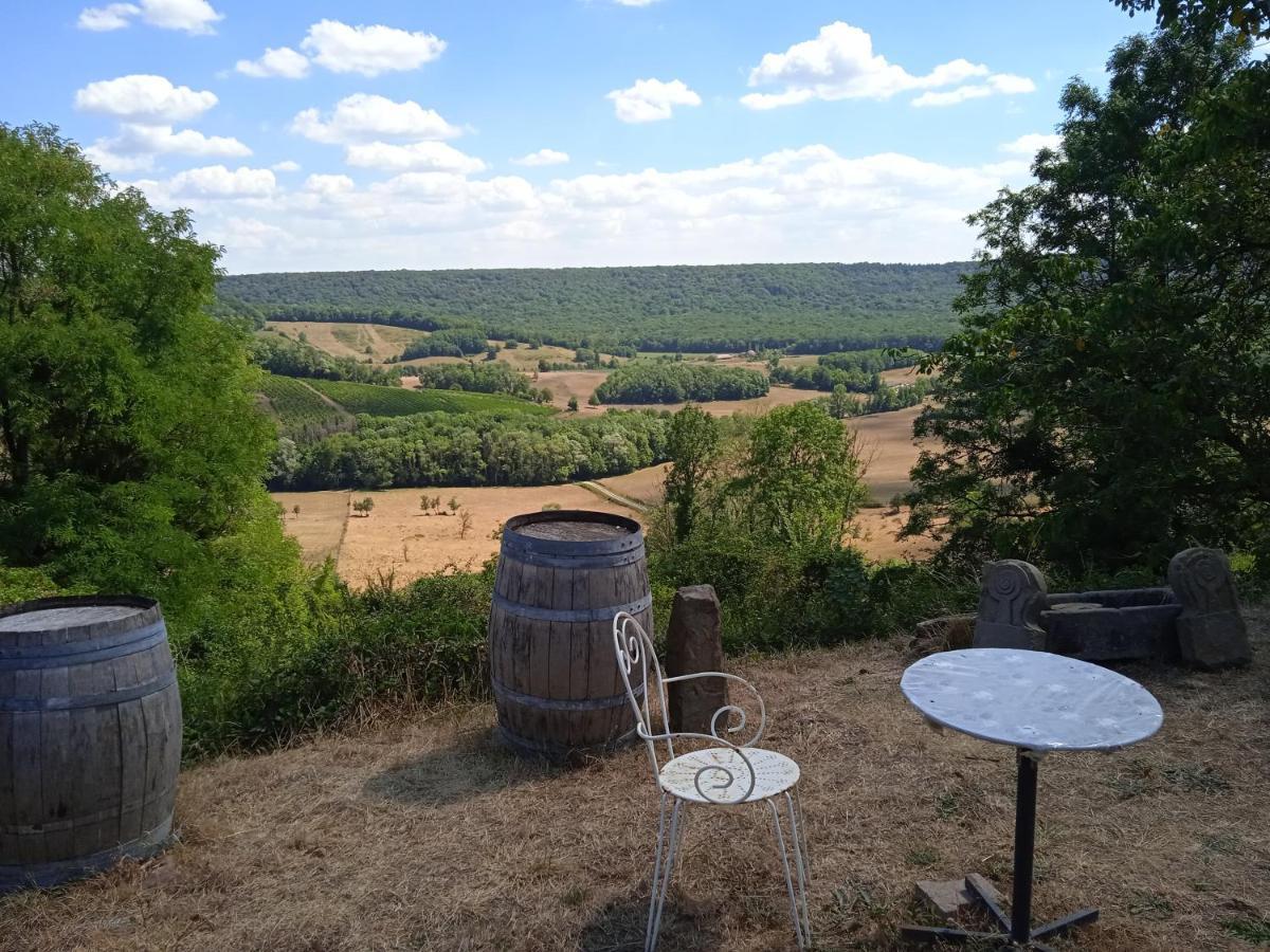 Charmant gîte Haut-Marnais Montcharvot Extérieur photo