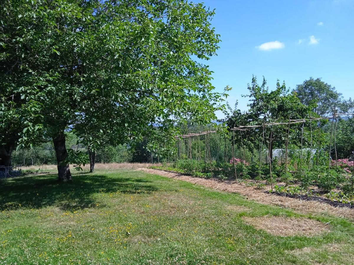 Charmant gîte Haut-Marnais Montcharvot Extérieur photo