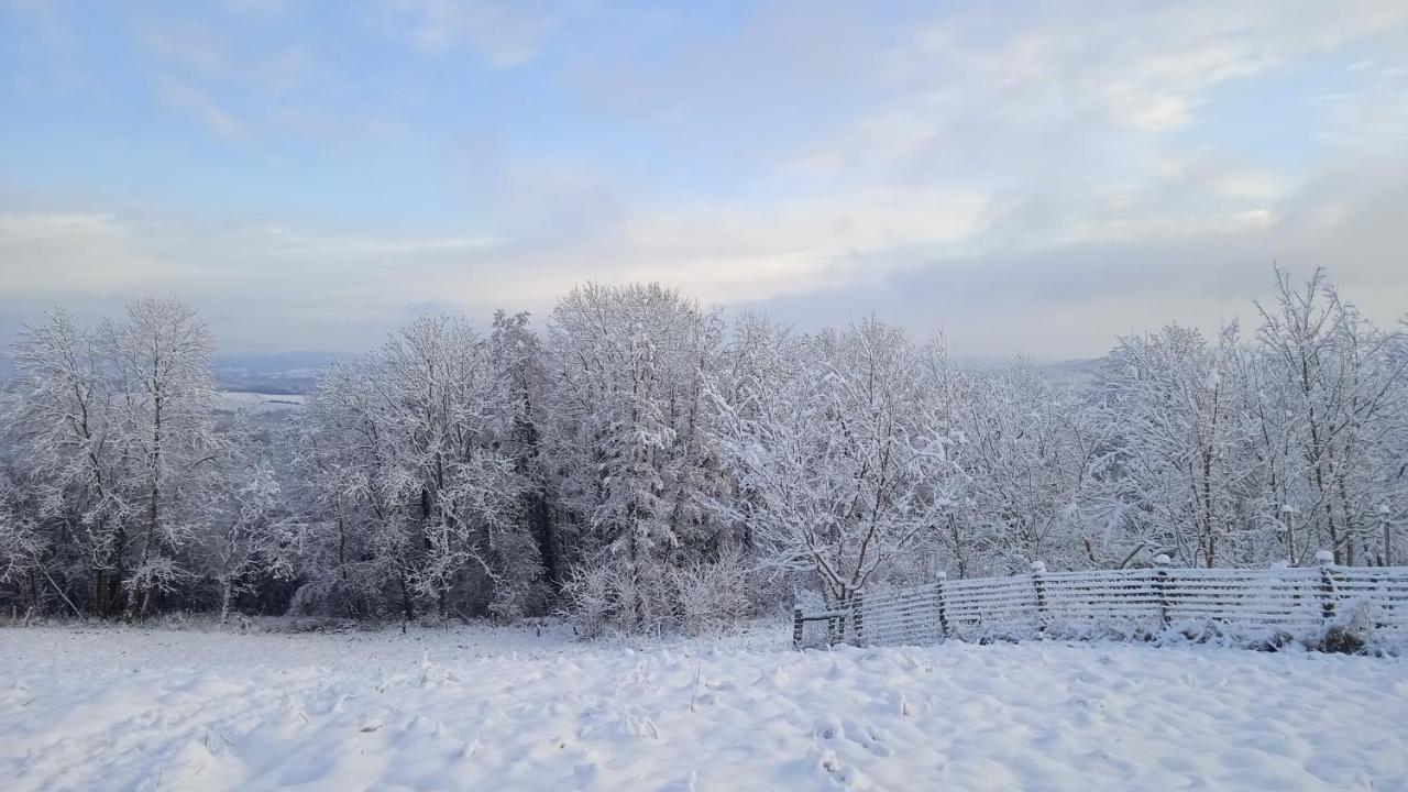 Charmant gîte Haut-Marnais Montcharvot Extérieur photo